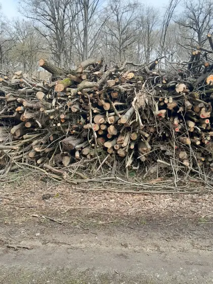 Verkaufe Holz zum Selberhacken