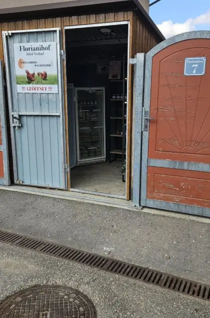 Holz, Wachtelprodukte, Zwiebel, Hühnereier, Honig