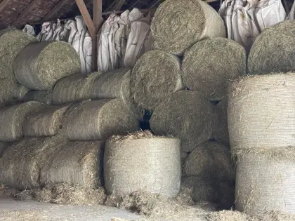 Heu/Grummetballen