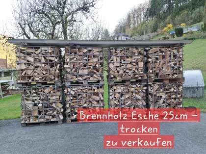 Brennholz Ofenholz Kaminholz 25 cm Esche trocken