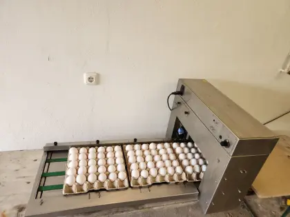 Eierprinter, Eierkennzeichnung, Eiersortiermaschine Egg Jet BAN1