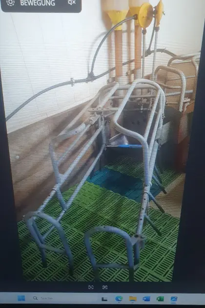 Mannebeck Abferkelboxen