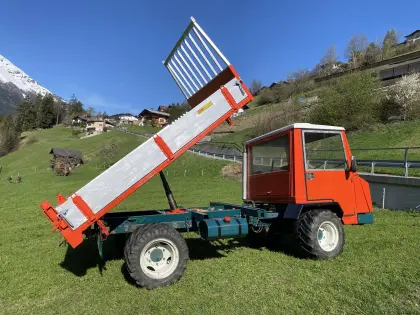 Kipper für Reform Muli Gögel