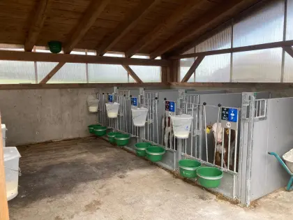 Top Calf Basisbox Aufstallung Kälberstall