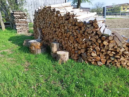 Brennholz Fichte ca. 9 RM