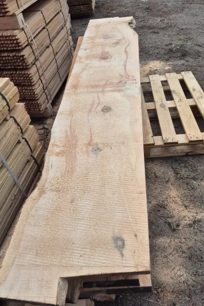 Wintergeschlagenes Zirbenholz