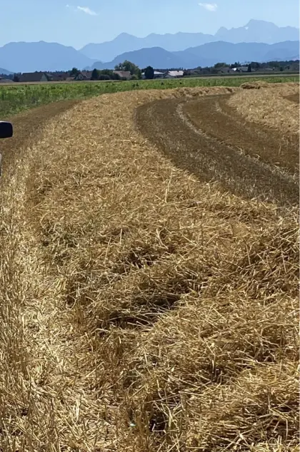 18 ha Dinkelstroh in Garsten