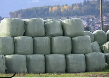 Siloballen zu verkaufen Tirol