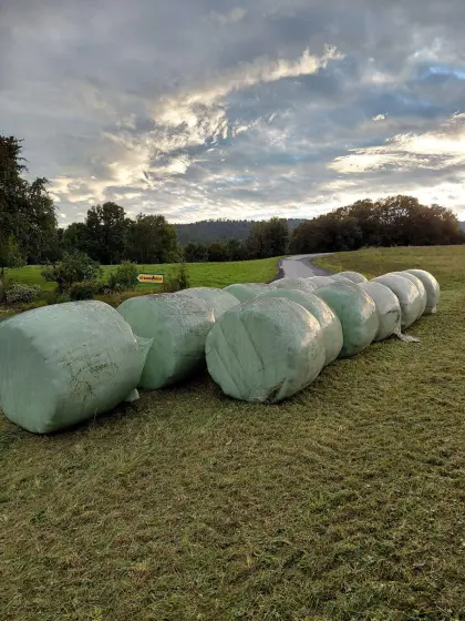 Siloballen Silageballen