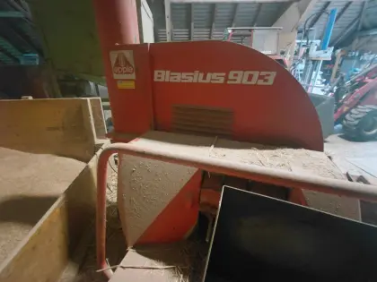 Blasius 903
