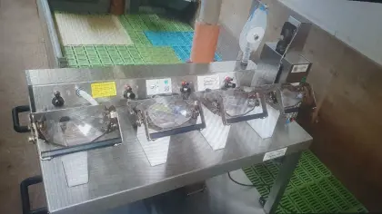 Kastrationsgerät Ferkel Schulze Bremer