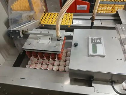 Farmpacker Prinzen Eier