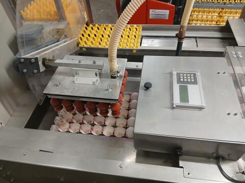 Farmpacker Prinzen Eier
