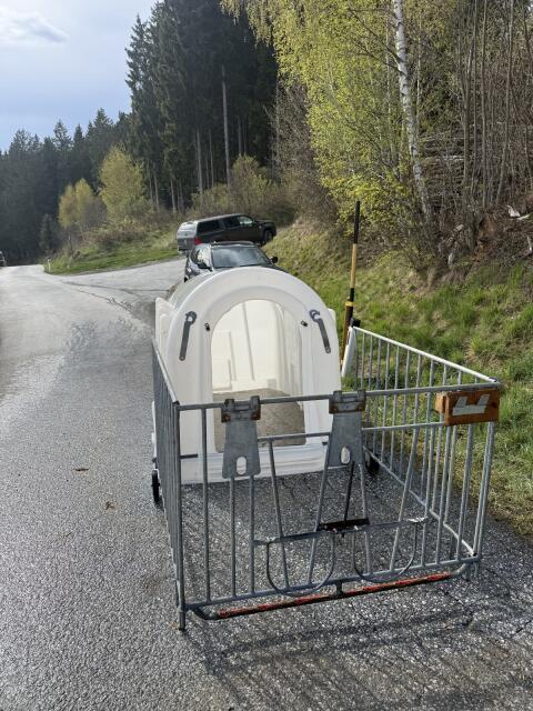 Kälber Iglu