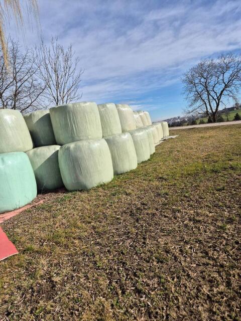 Silageballen