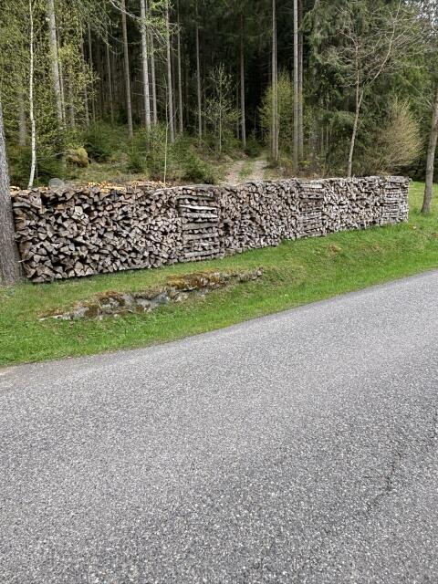 Brennholz