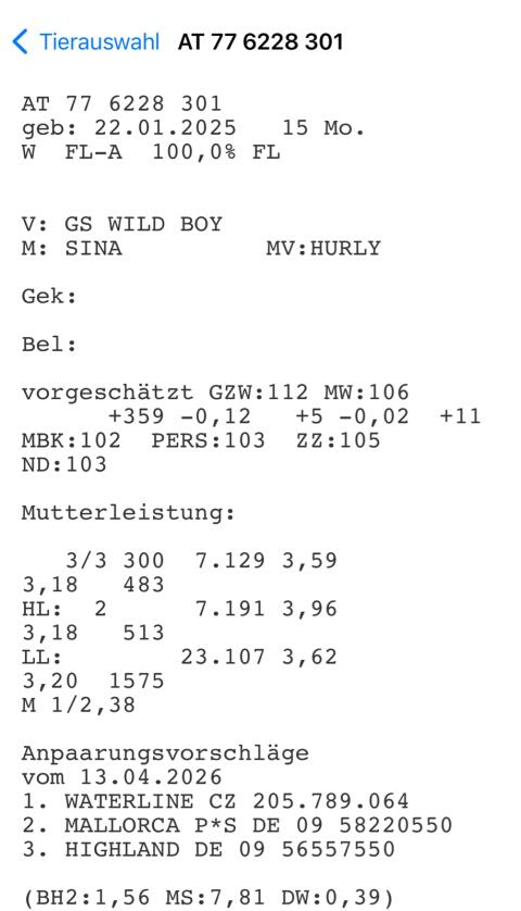 Bio Fleckvieh Kalbinnen