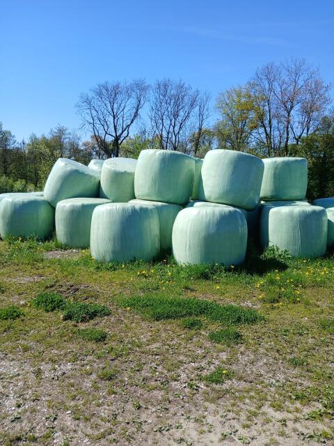 Bio Siloballen