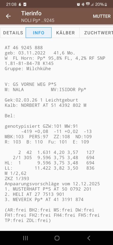 Verkaufe Kuh in Milch