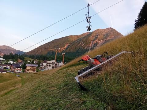 Mäh- und Mulcharbeiten