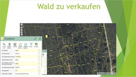 Wald zu verkaufen