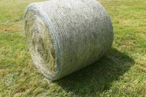 Heurundballen ab 2025 und 2026