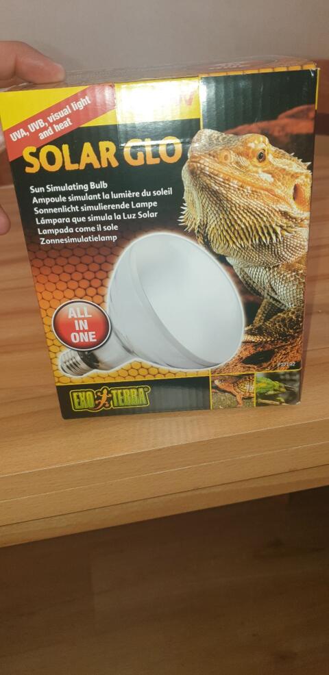 Für Reptilien Lampe
