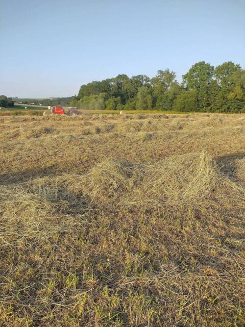 Heuballen