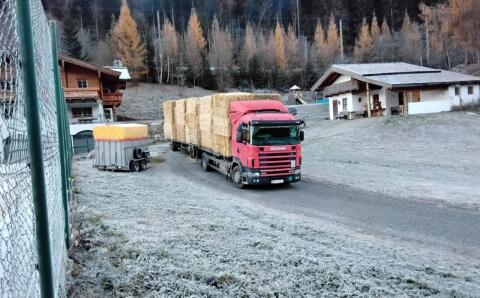 Stroh kurz und fein, so soll es sein, das Gute zum kleinen Preis