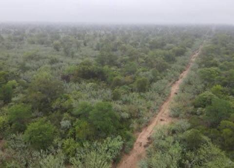 Fokus auf Investment & Zukunft 5000 ha in Paraguay