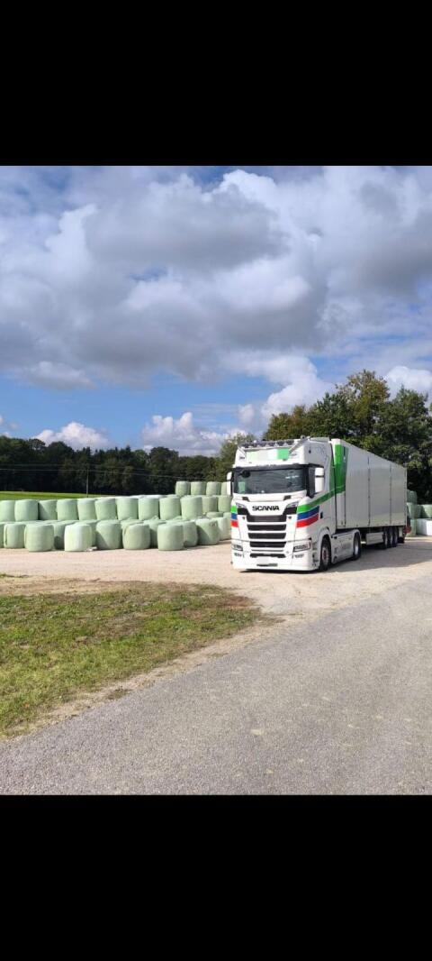 Klee Luzerne Silage/Bio/Ernte 2026