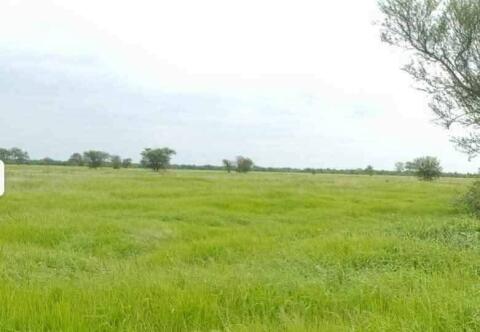 Exklusives Agrar-Investment: 31.677 ha Estancia in Paraguay