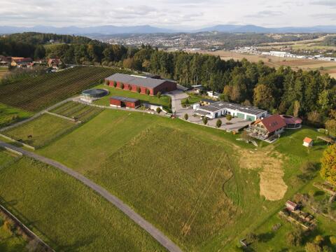 Pferdepfleger/in gesucht – Nähe 8.200 Gleisdorf