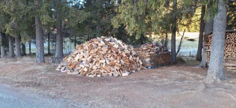Brennholz/Ofenholz