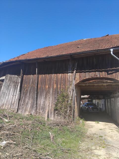 Schindeln