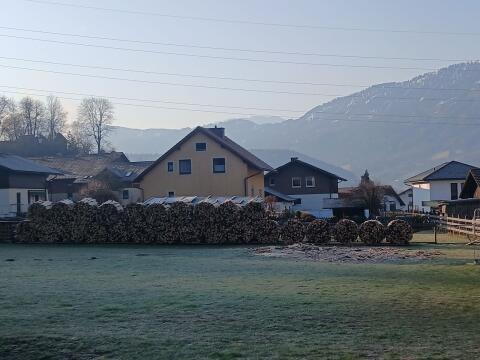 Brennholz