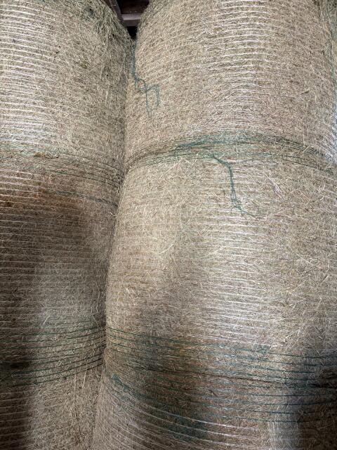 Heu 1 und 2 Schnitt 2025