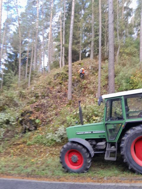 Suche Fendt Farmer 309 LS