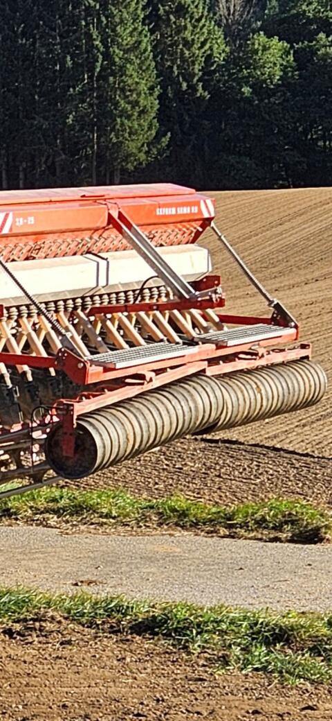 Saatandruckwalze Reform