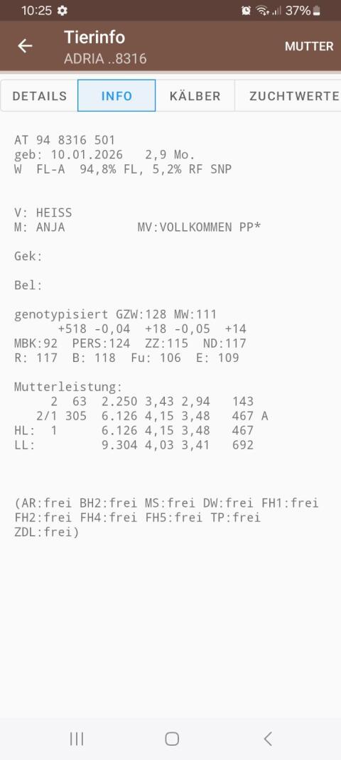Genotypisiertes FV Kalb BIO