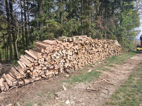Brennholz Esche