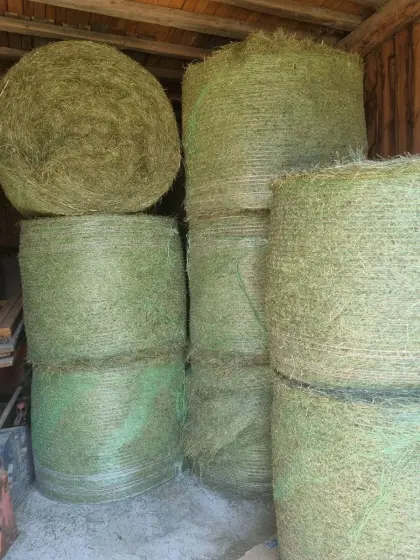 Heuballen 2. Schnitt