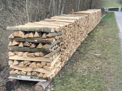 Brennholz Buche Meterscheiter