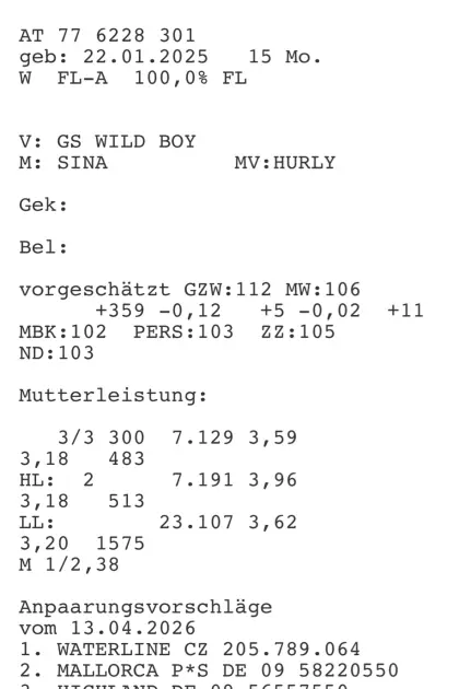 Bio Fleckvieh Kalbinnen