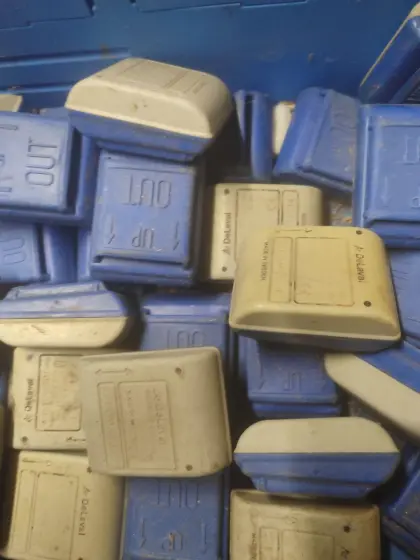 Delaval Aktivitätsmesser Brunsterkennung