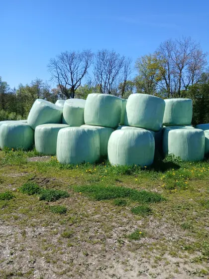 Bio Siloballen