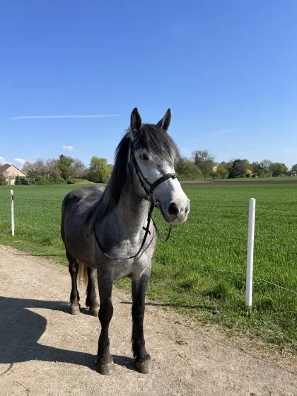 Traumhafte Freizeitpartnerin