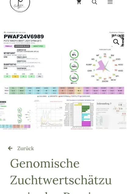 Wagyu Workshop genomische Zuchtwertschätzung in der Praxis