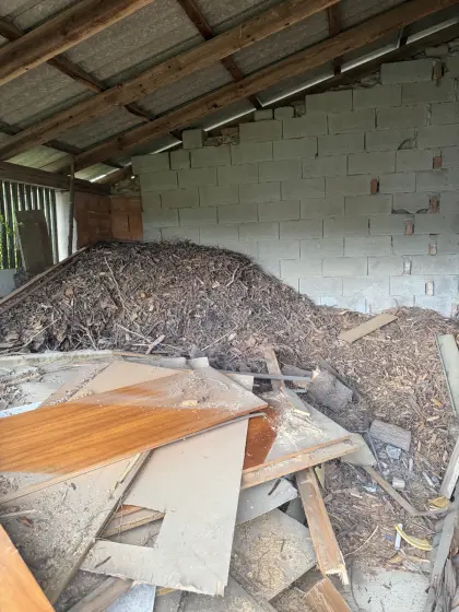 Hackschnitzel, Hackgut, Brennholz - zu verschenken