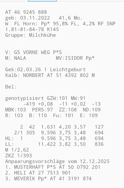 Verkaufe Kuh in Milch